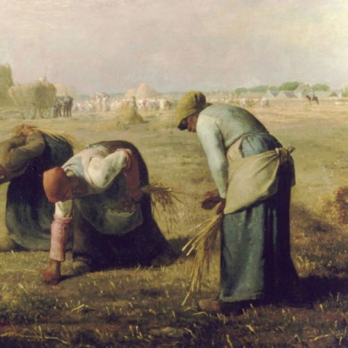 Main color nuances in Millet’s “The Gleaners”