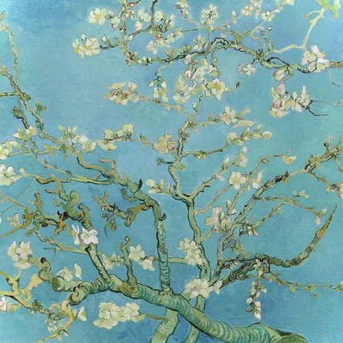 Have a faithful copy of a famous painting: Almond Blossoms by Vincent van Gogh