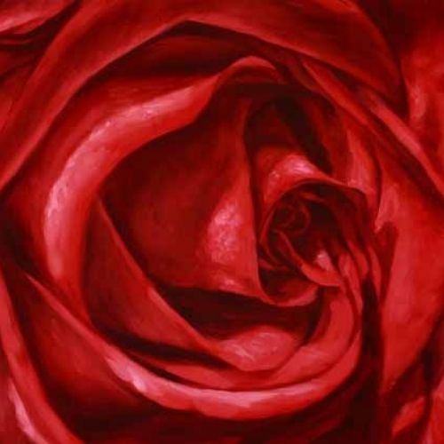 Finished rose before varnishing — final result of the oil painting