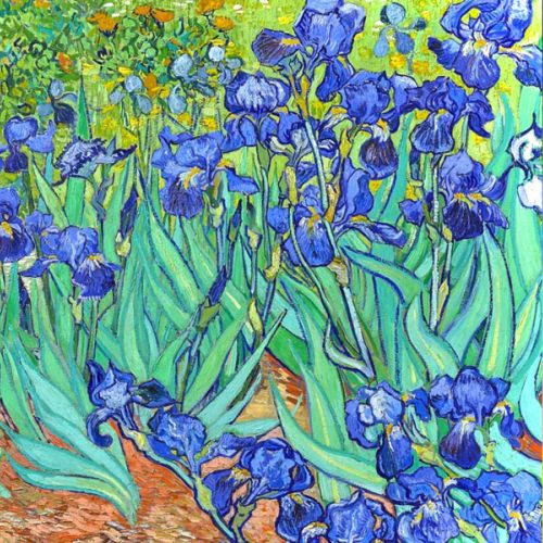 Characteristic color selection in Van Gogh’s “Irises”