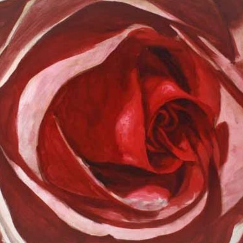 Color gradients on the petals — progress of the floral demonstration