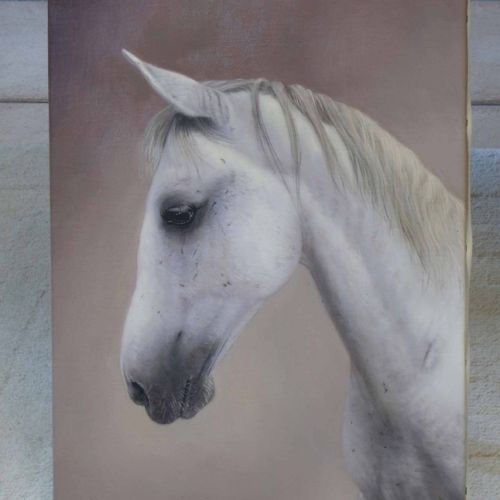 Close-up horse portrait — beauty of the features rendered with finesse in oil