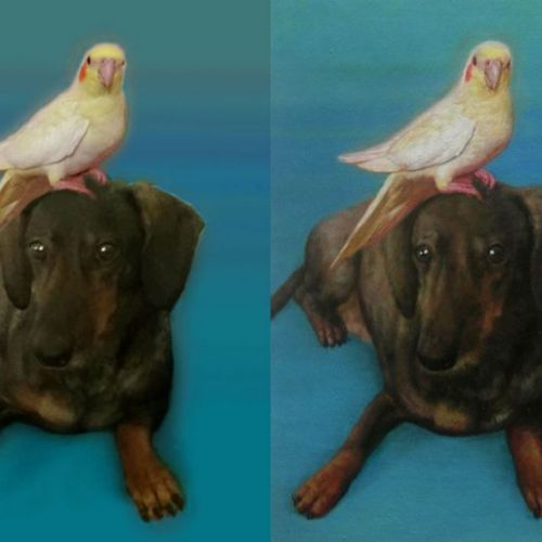 Animal duo — natural bond painted in oil from your photos